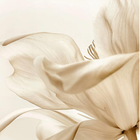 03 – Beobachten statt reagieren - Raus aus der alten Dynamik