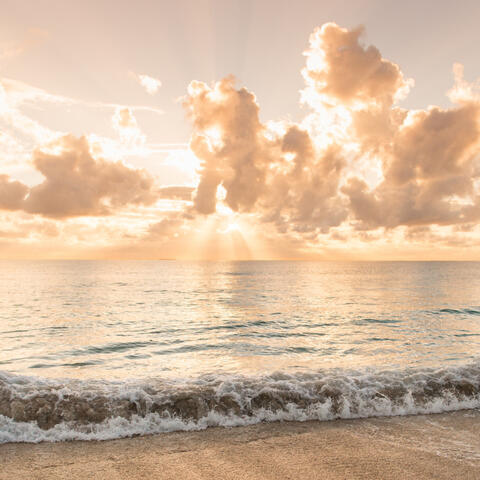 02 – Wenn dein Nervensystem übernimmt - Herzrasen. Enge. Panik.
